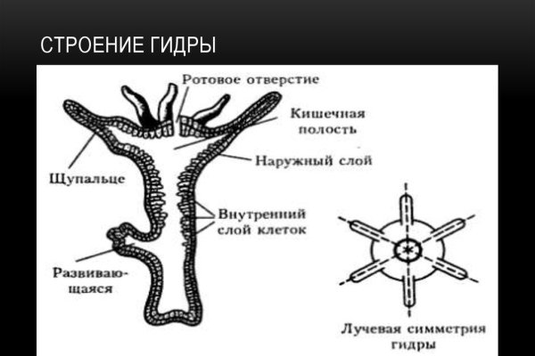 Кракен тор gigageek ru