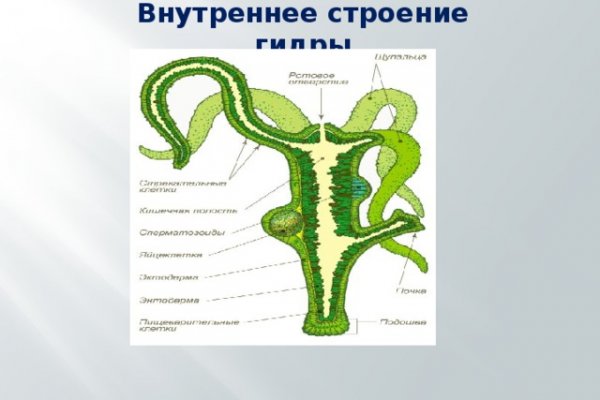 Кракен onoin